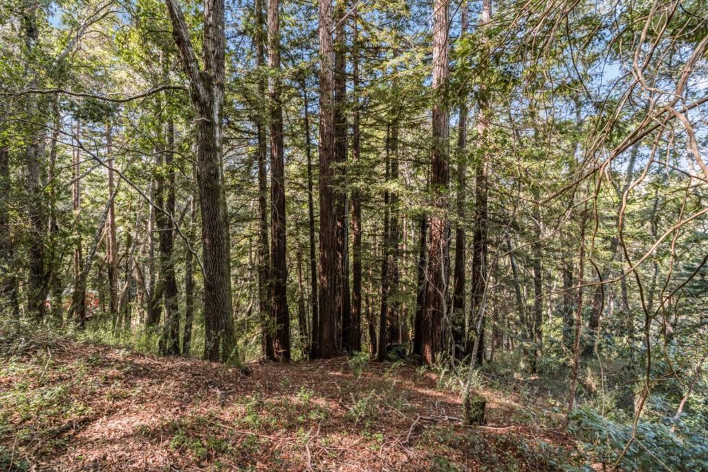 Volver Avenue Property Photo 7