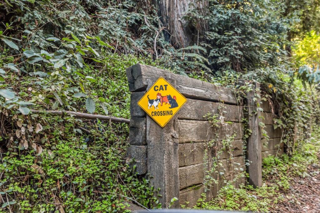 Volver Avenue Property Photo 8