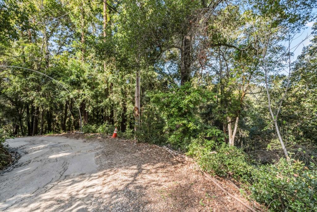 Volver Avenue Property Photo 10