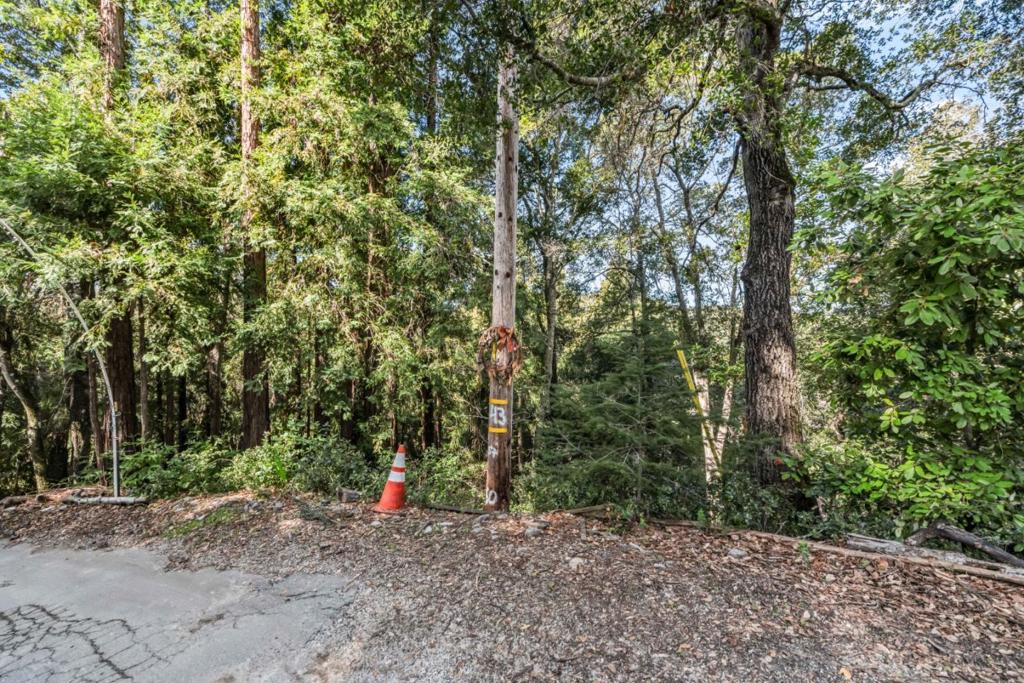Volver Avenue Property Photo 11