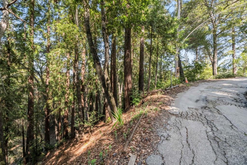 Volver Avenue Property Photo 12