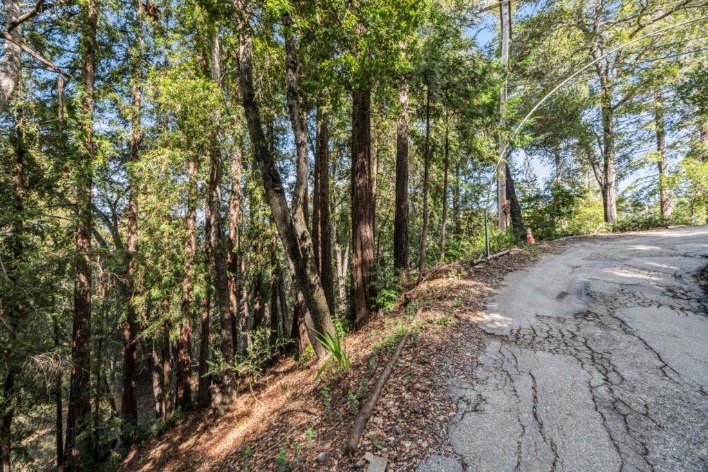 Volver Avenue Property Photo 13