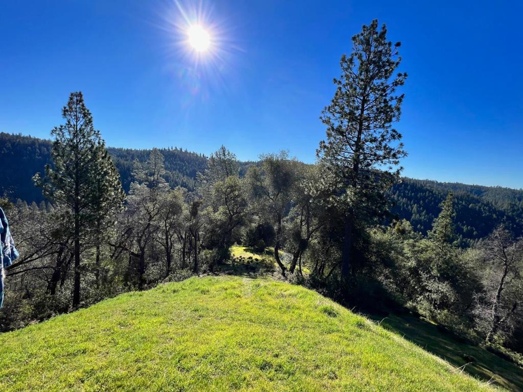 17252 Shake Ridge Road Property Photo 1