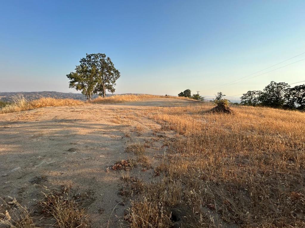 41176 Lilley Mountain Drive Property Photo 1
