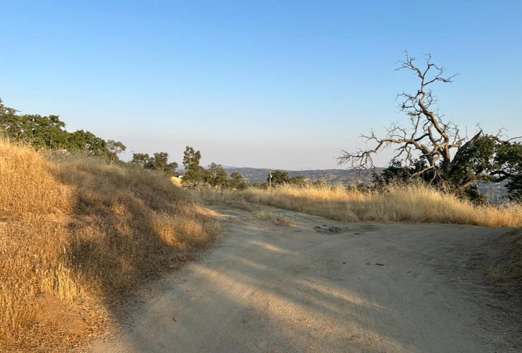 41176 Lilley Mountain Drive Property Photo 2