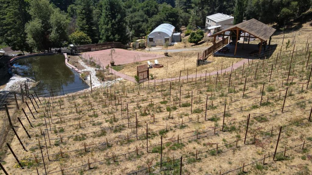 1003 Laurel Glen Property Photo 9