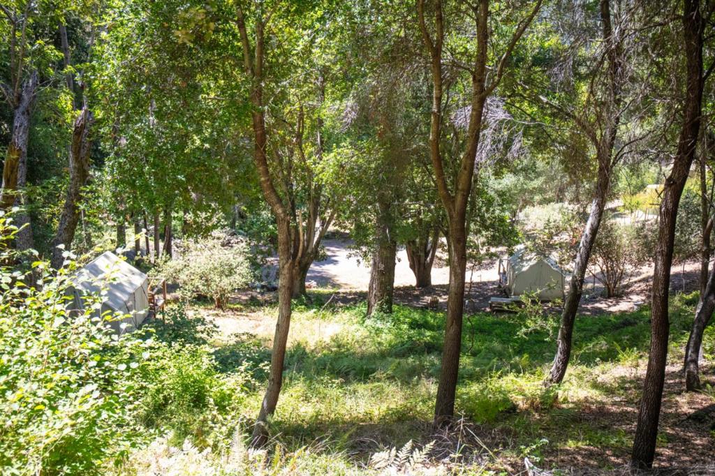 1003 Laurel Glen Property Photo 76