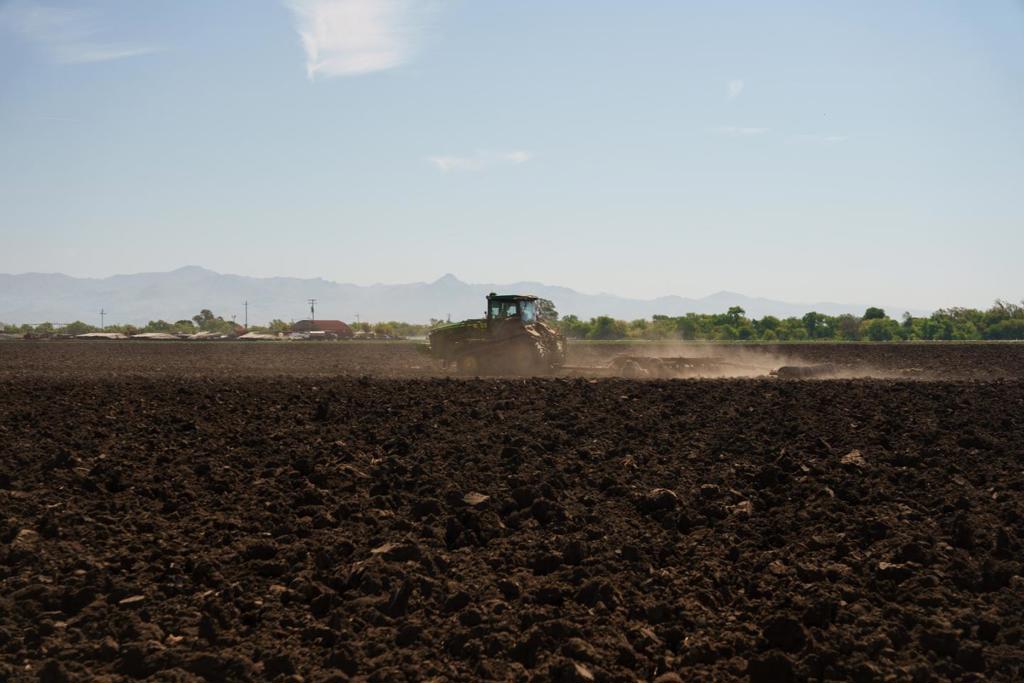 0 Highway 25 Property Photo 15