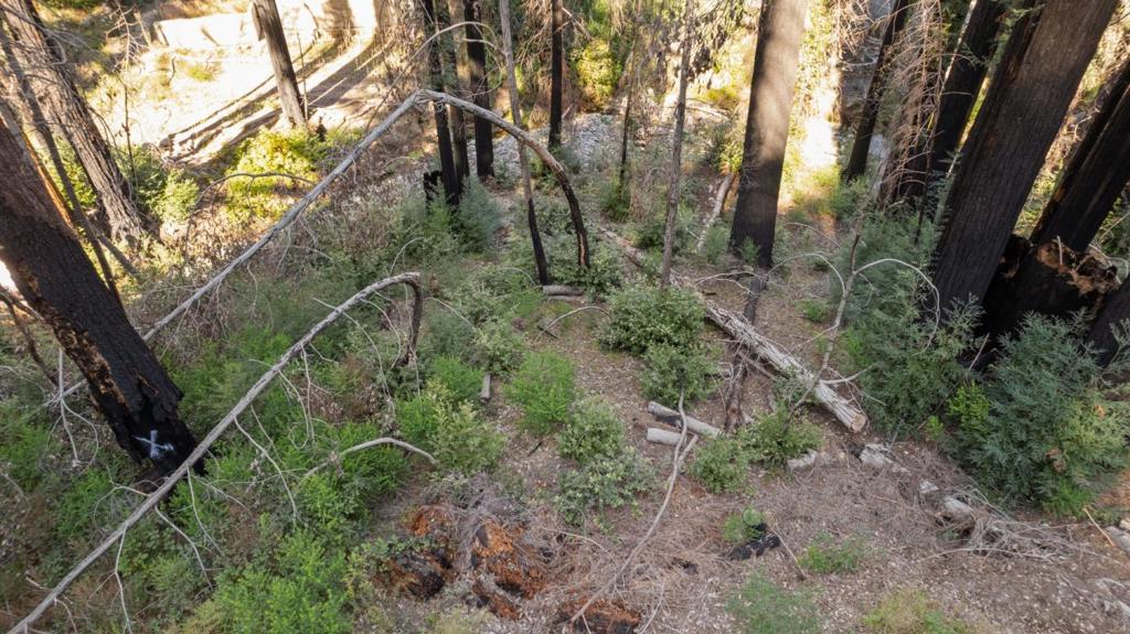 Boulder Brook Drive Property Photo 4