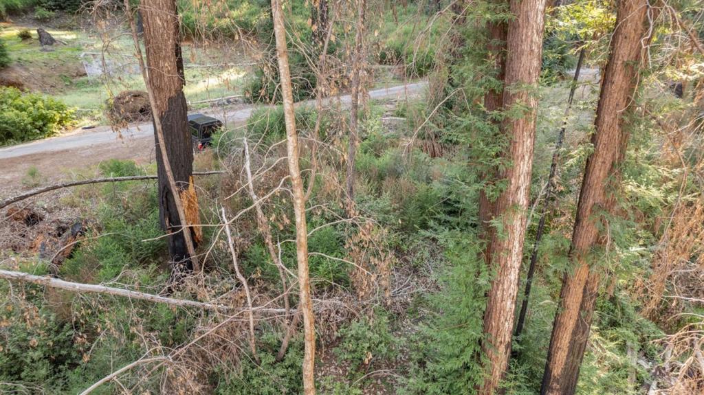 Boulder Brook Drive Property Photo 7