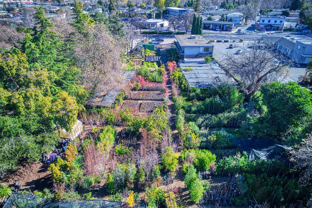 332 Woodside Road Property Photo 15