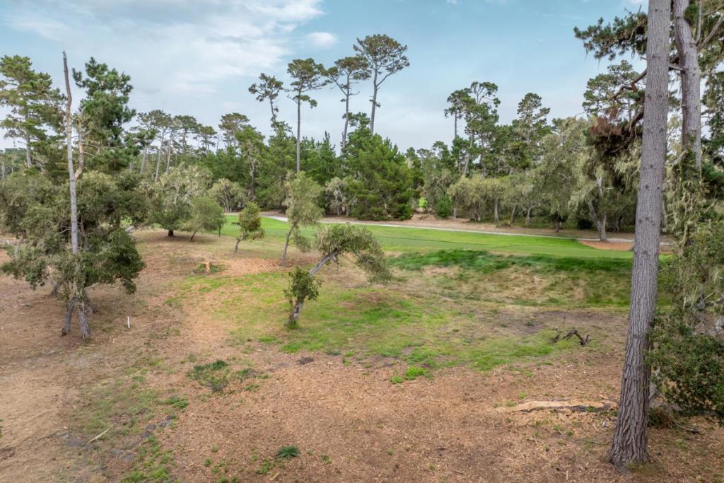 1070 Spyglass Woods Drive Property Photo 1
