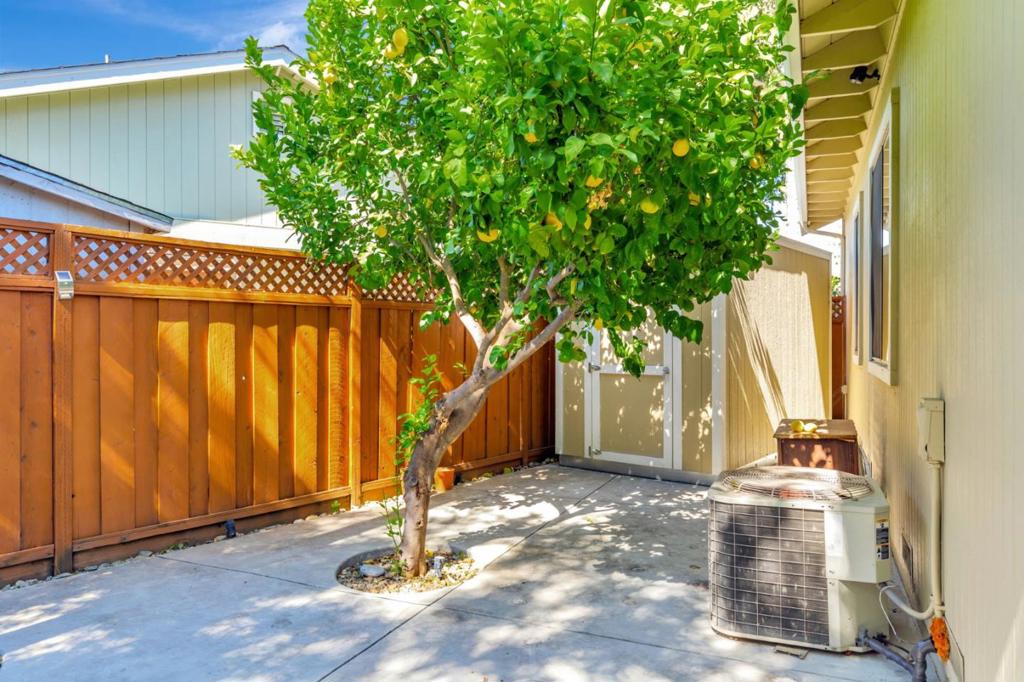 1206 Sycamore Court Property Photo 22