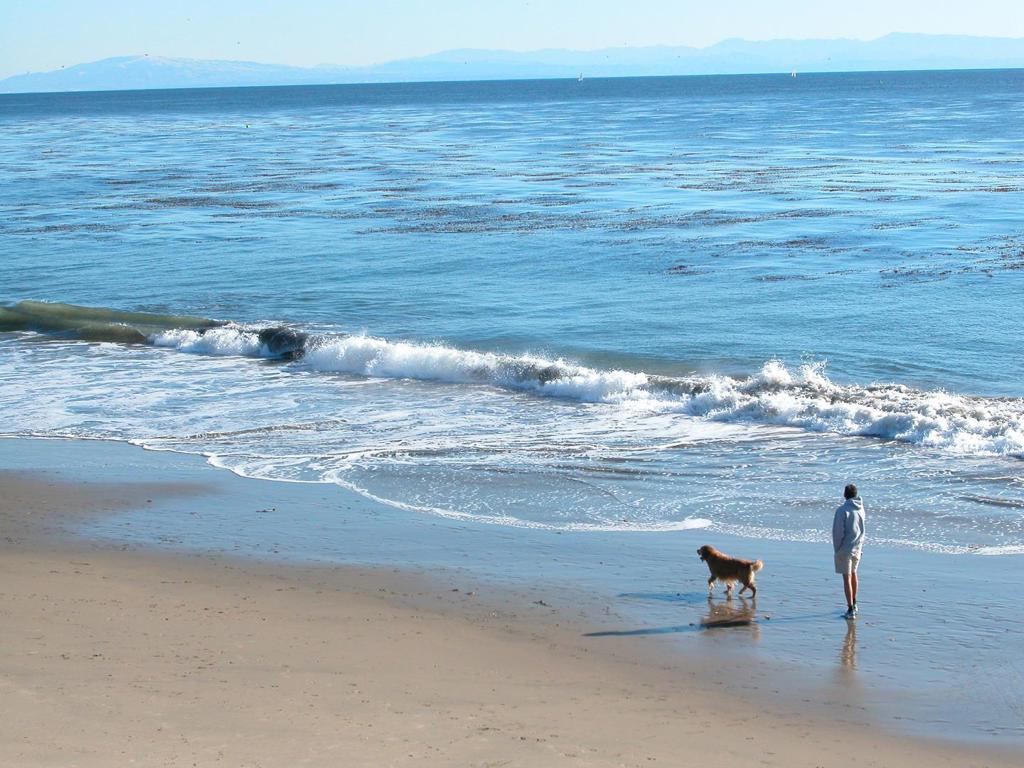 148 Mason Street Property Photo 5