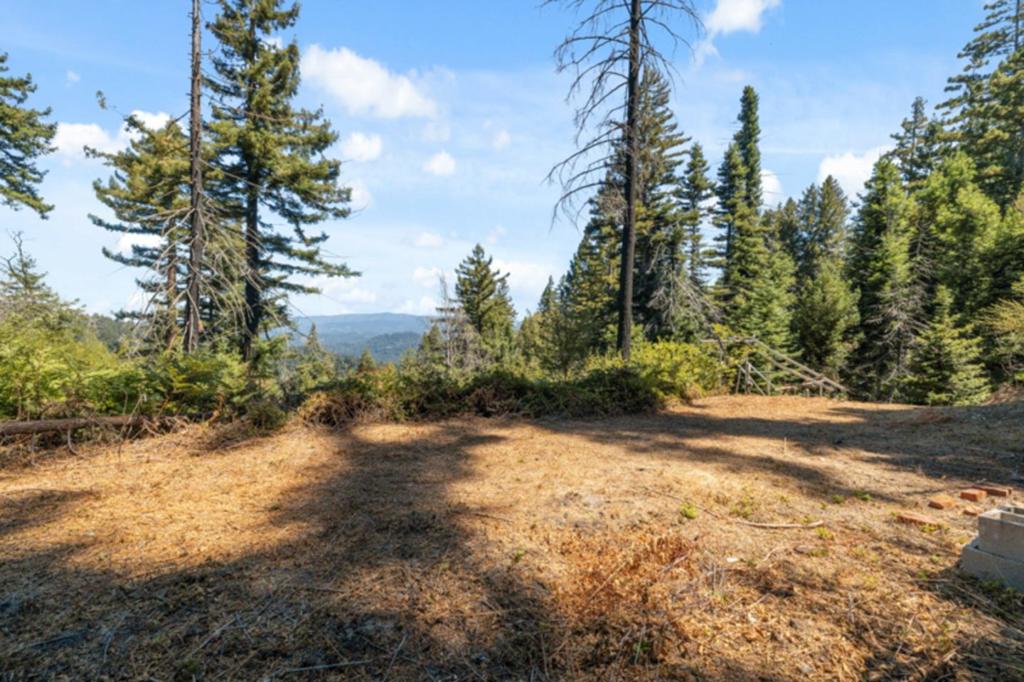 2472 Fanning Grade Property Photo 4