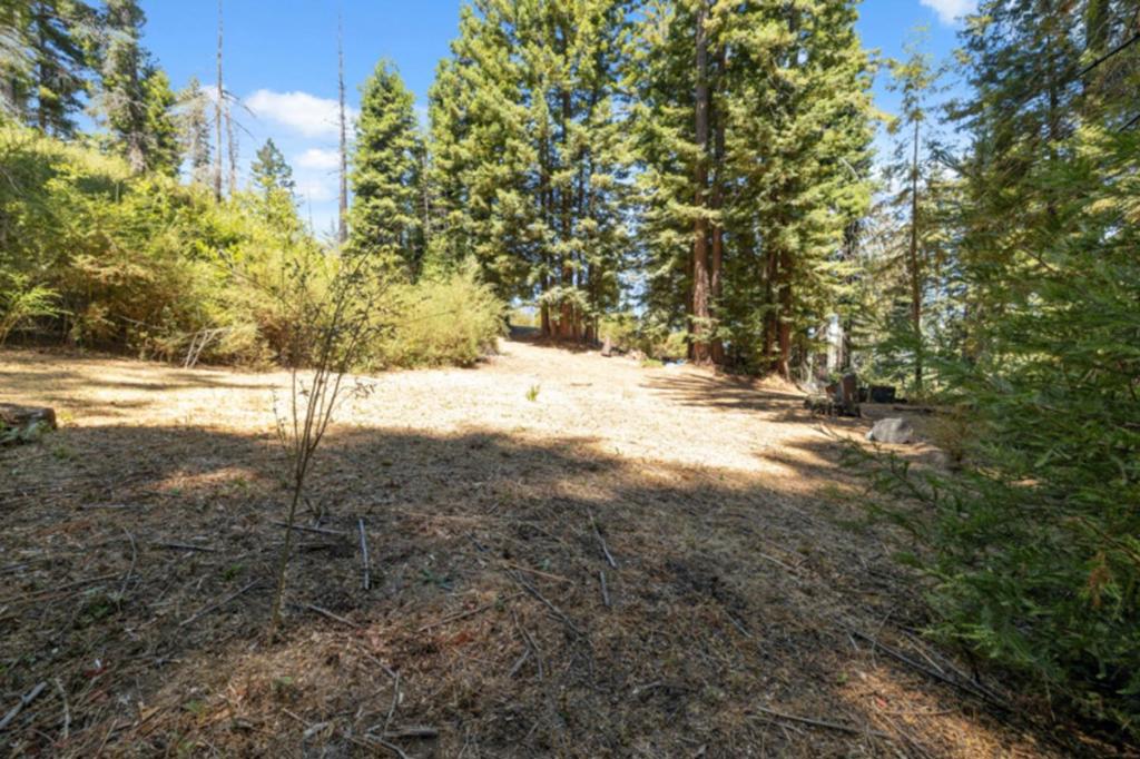 2472 Fanning Grade Property Photo 7