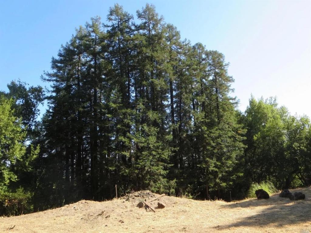 29 Red Rock Way Property Photo 3