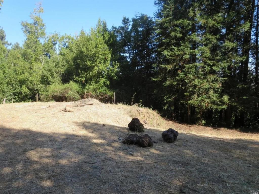 29 Red Rock Way Property Photo 4