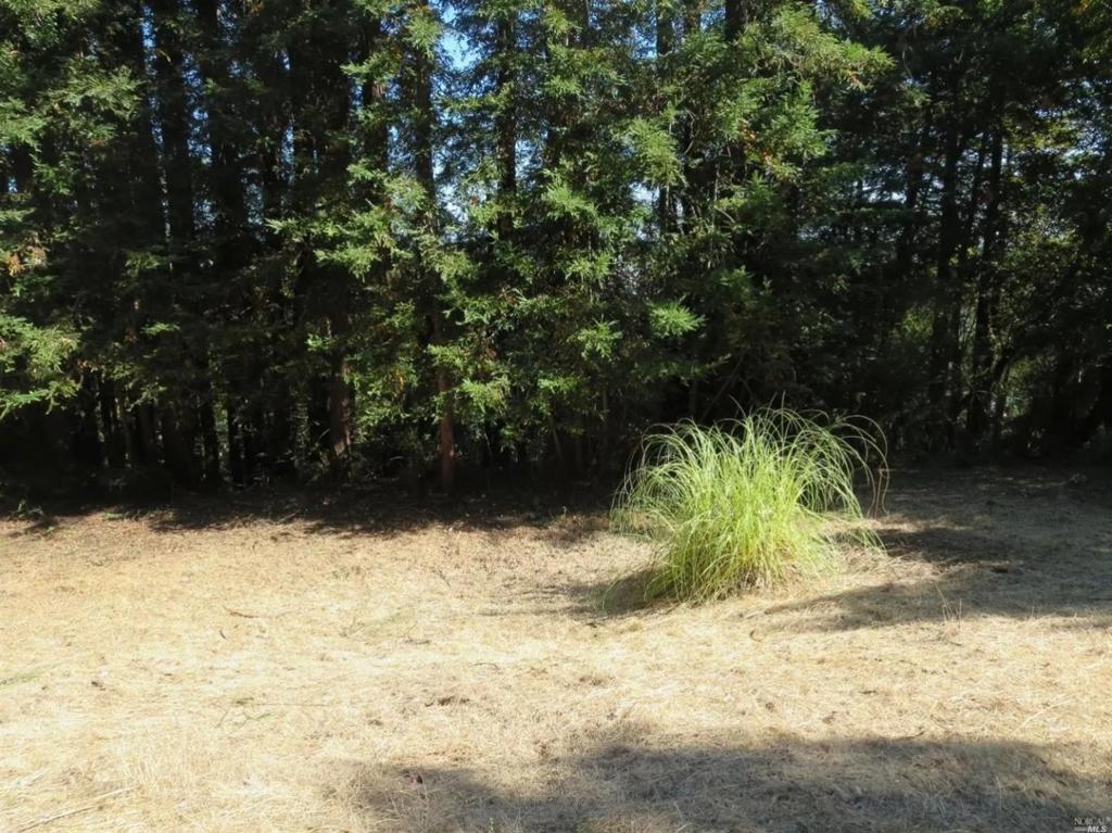 29 Red Rock Way Property Photo 11