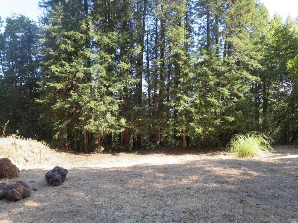 29 Red Rock Way Property Photo 13