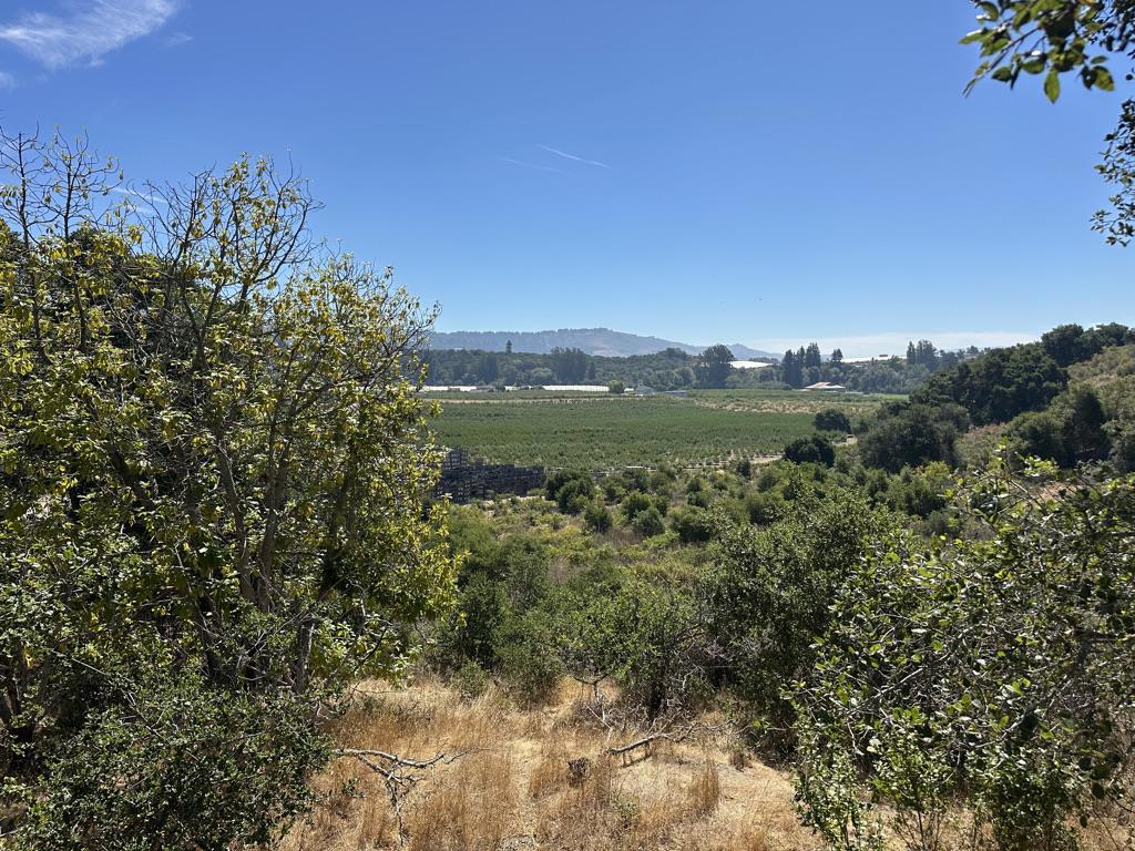 0 Sans Road Property Photo 27