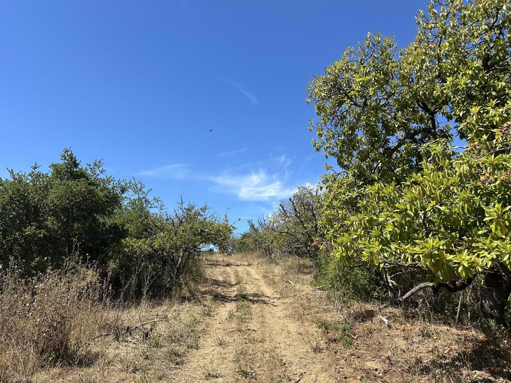 0 Sans Road Property Photo 28
