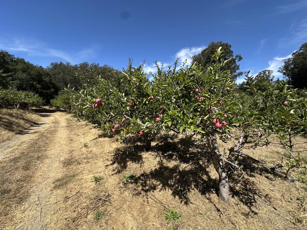0 Sans Road Property Photo 31