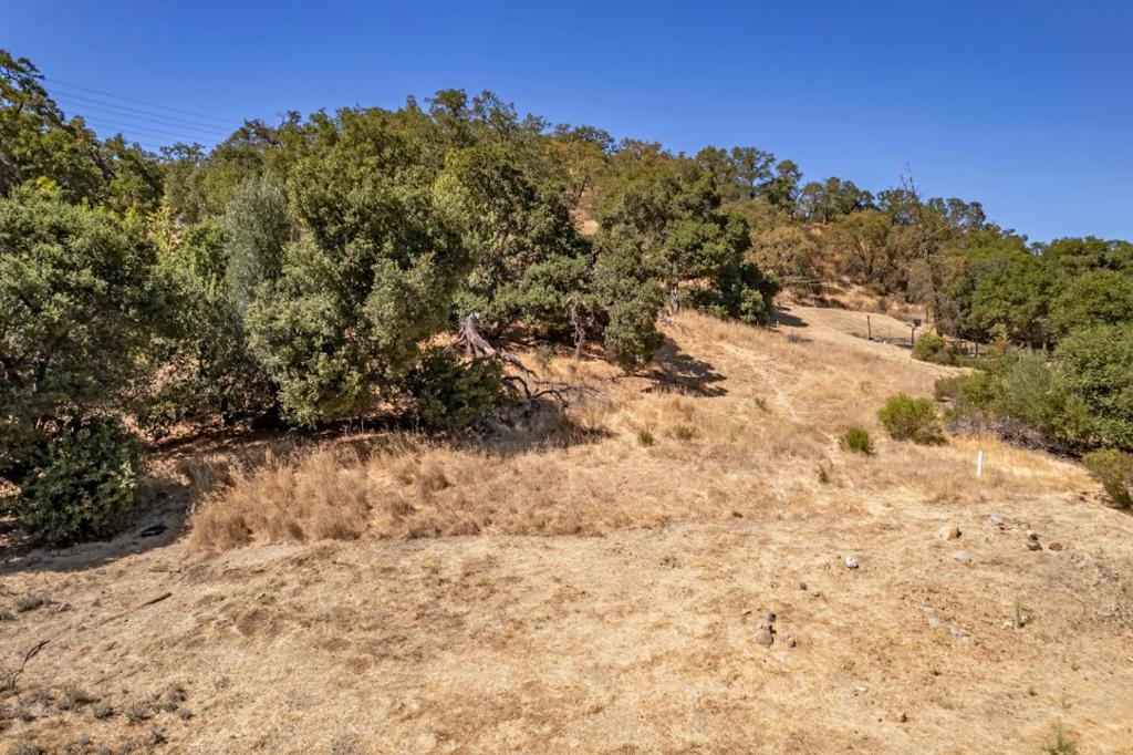21287 Almaden Road Property Photo 1