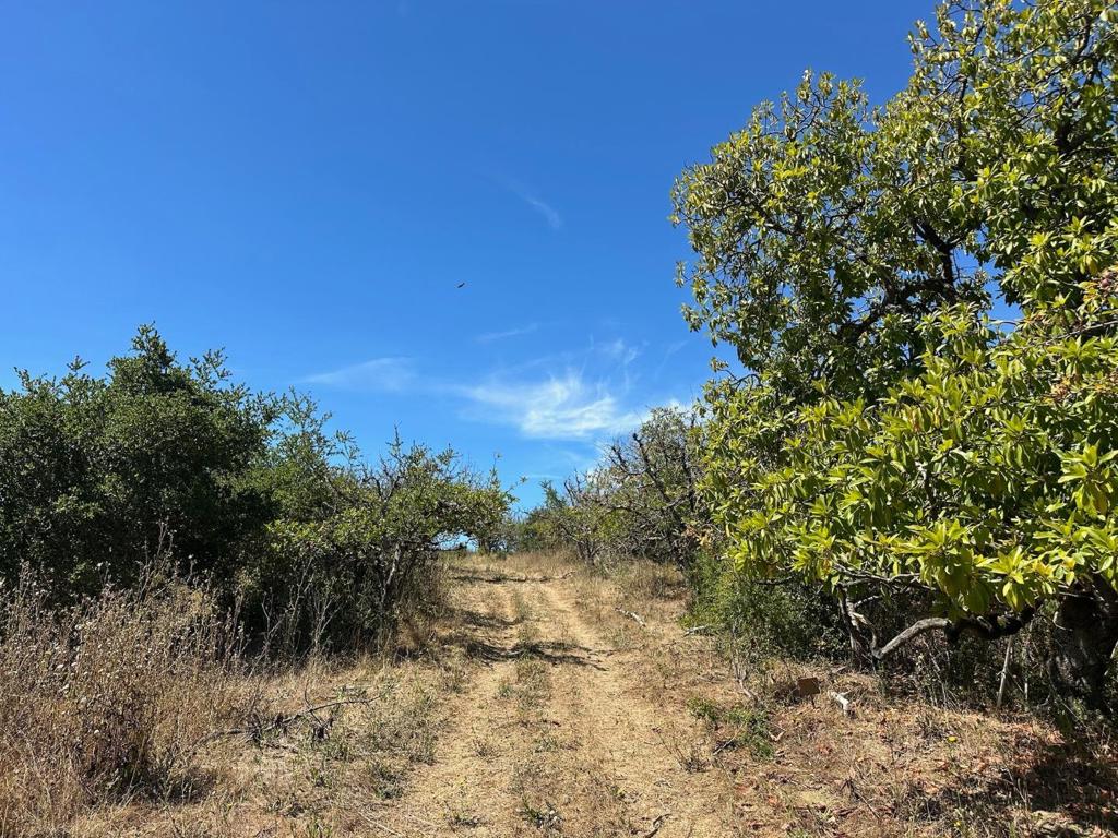 0 Sans Road Property Photo 26