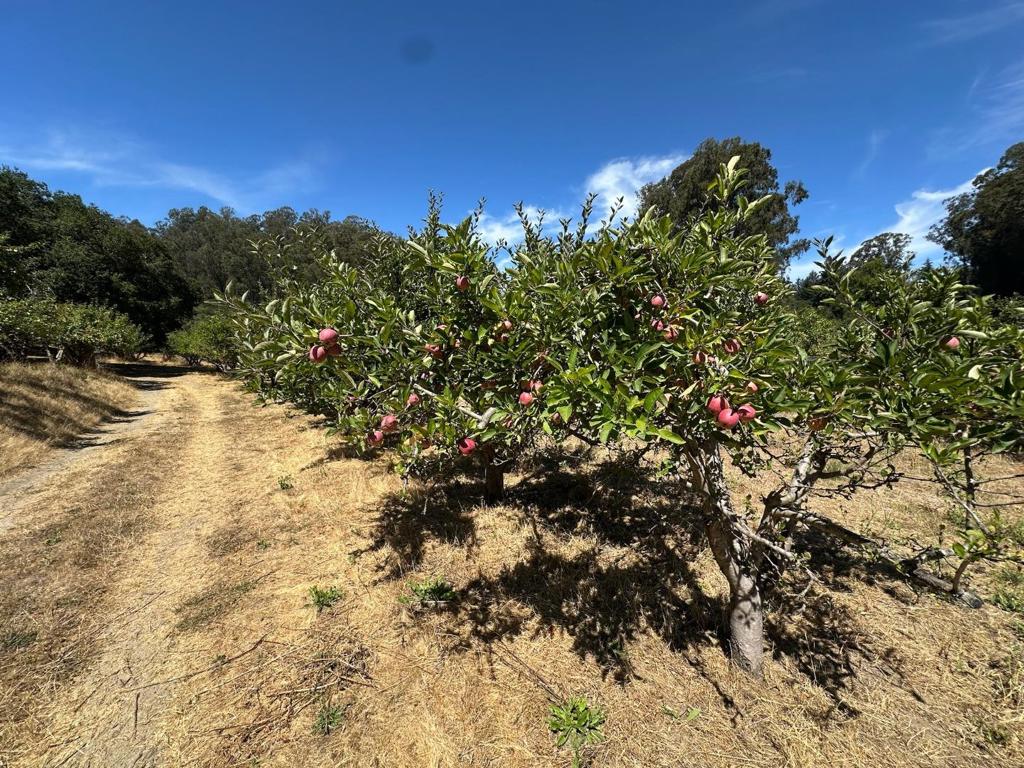 0 Sans Road Property Photo 33