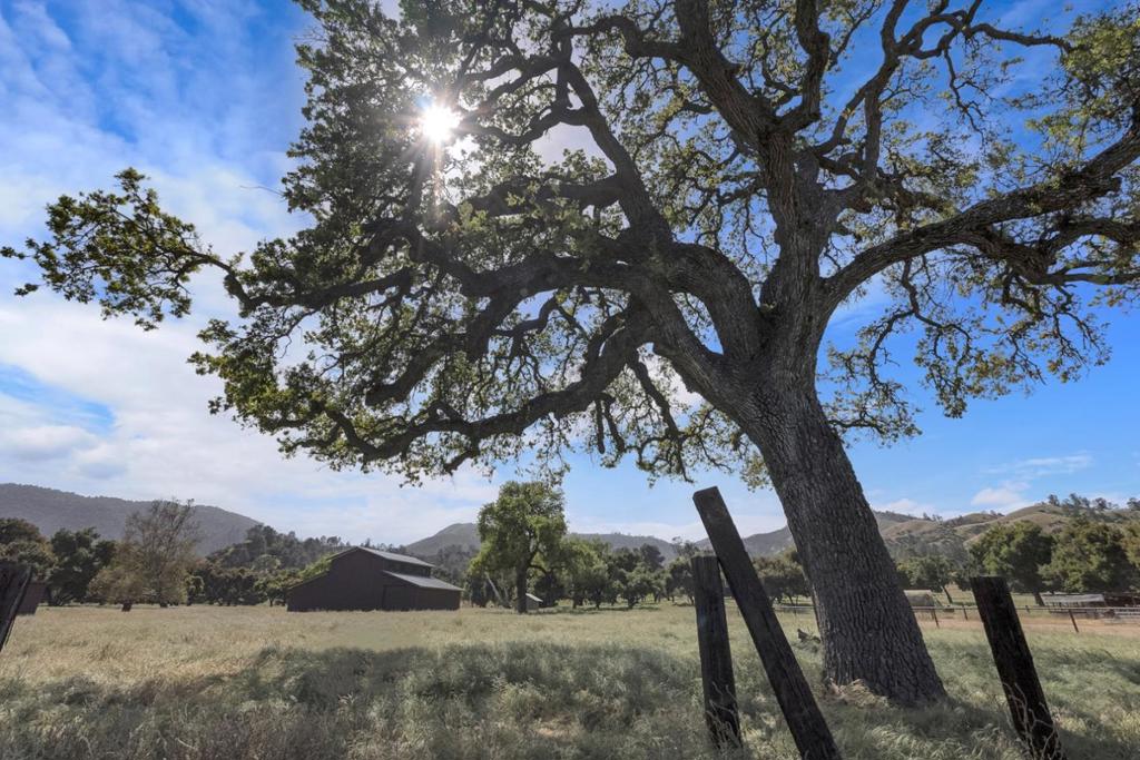 770 Limekiln Road Property Photo 30