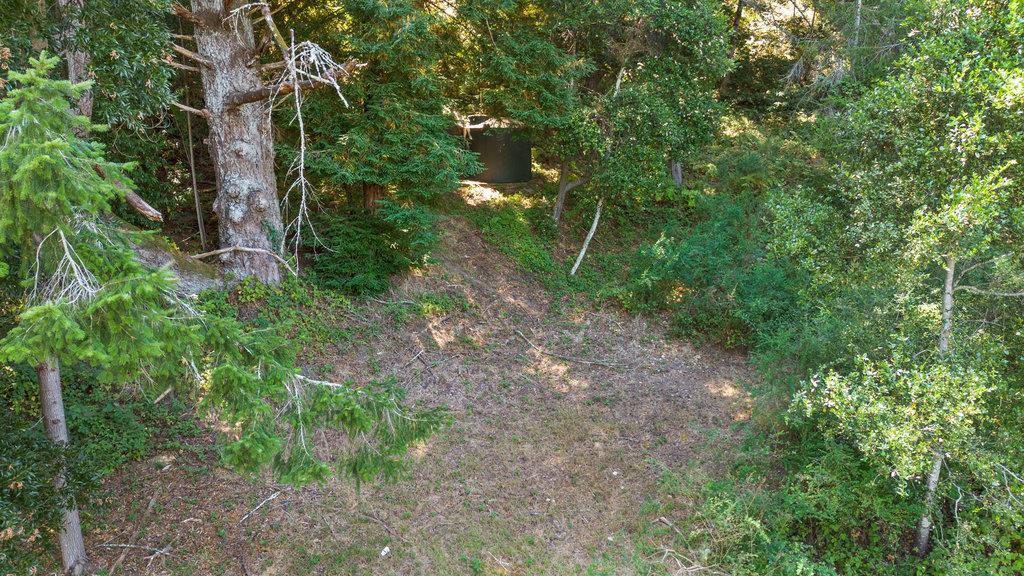 1239 La Madrona Drive Property Photo 37