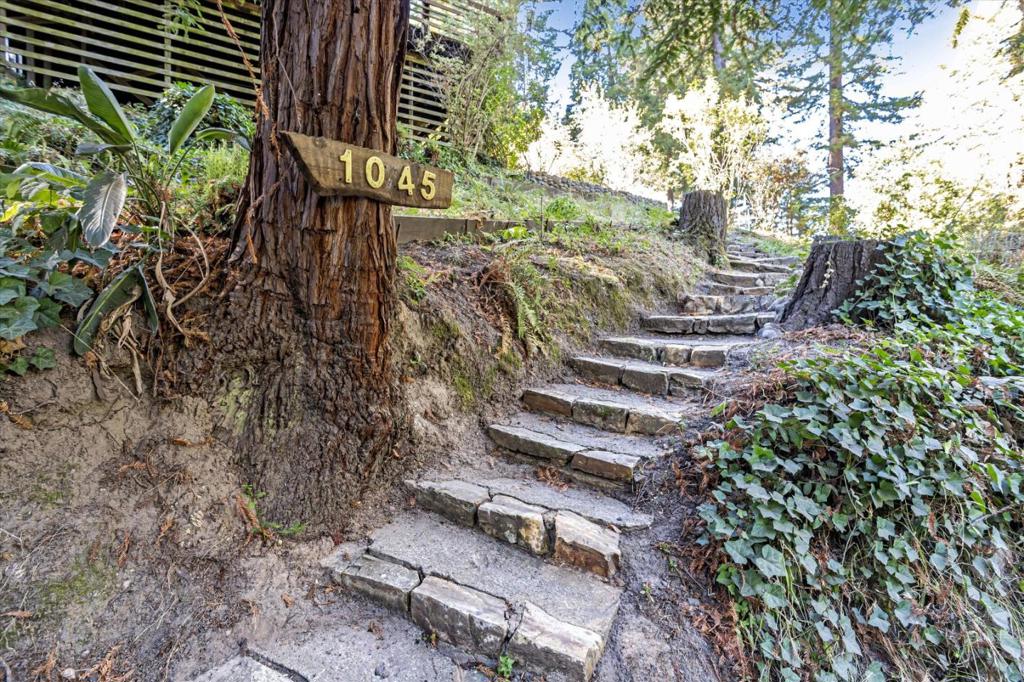 1045 Forest Way Property Photo 31