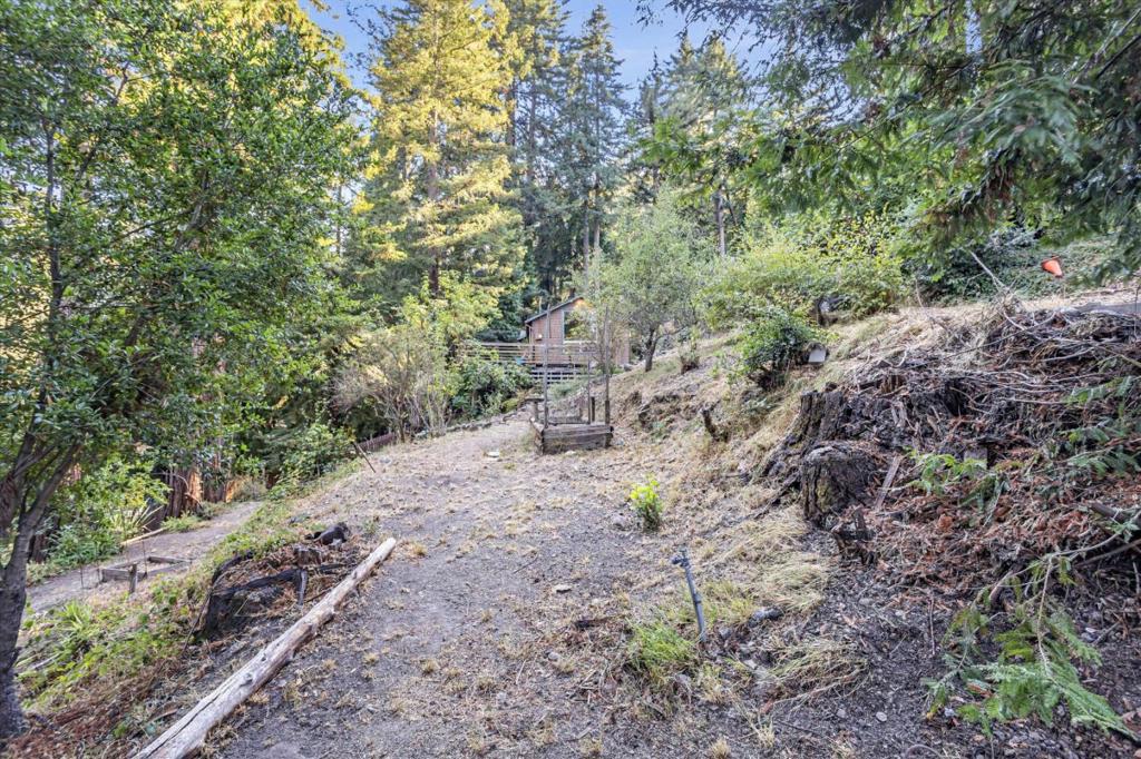 1045 Forest Way Property Photo 35