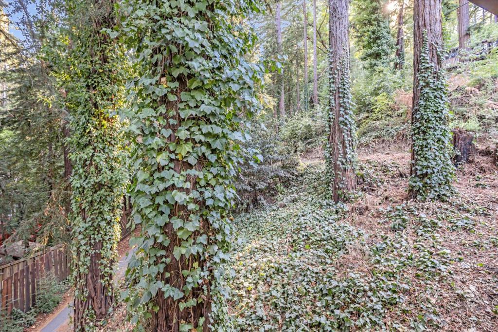 1045 Forest Way Property Photo 36