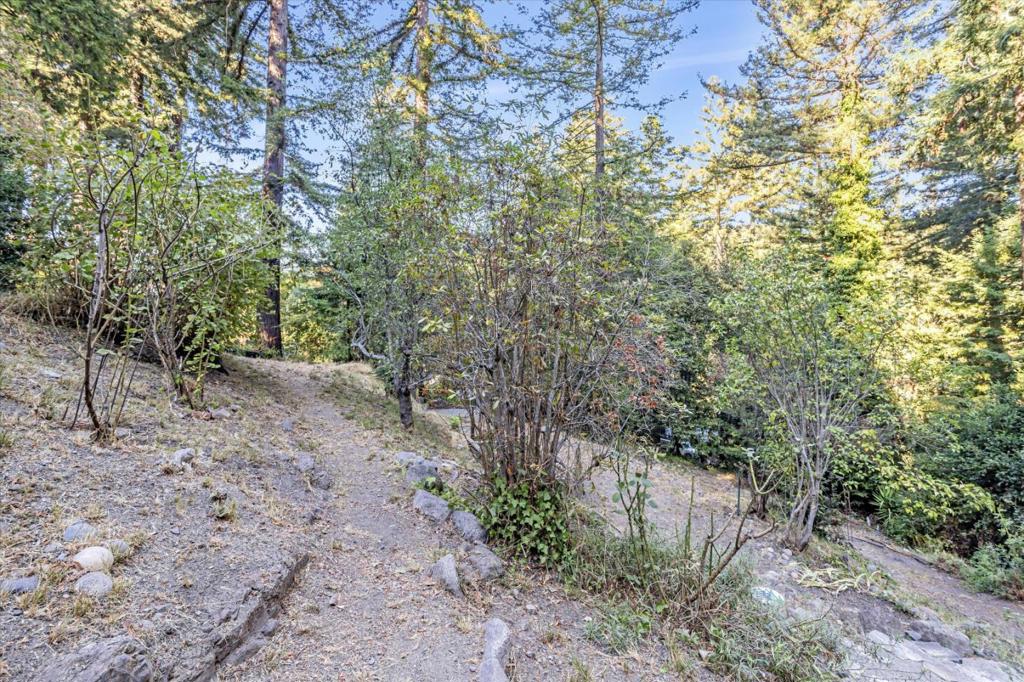 1045 Forest Way Property Photo 37