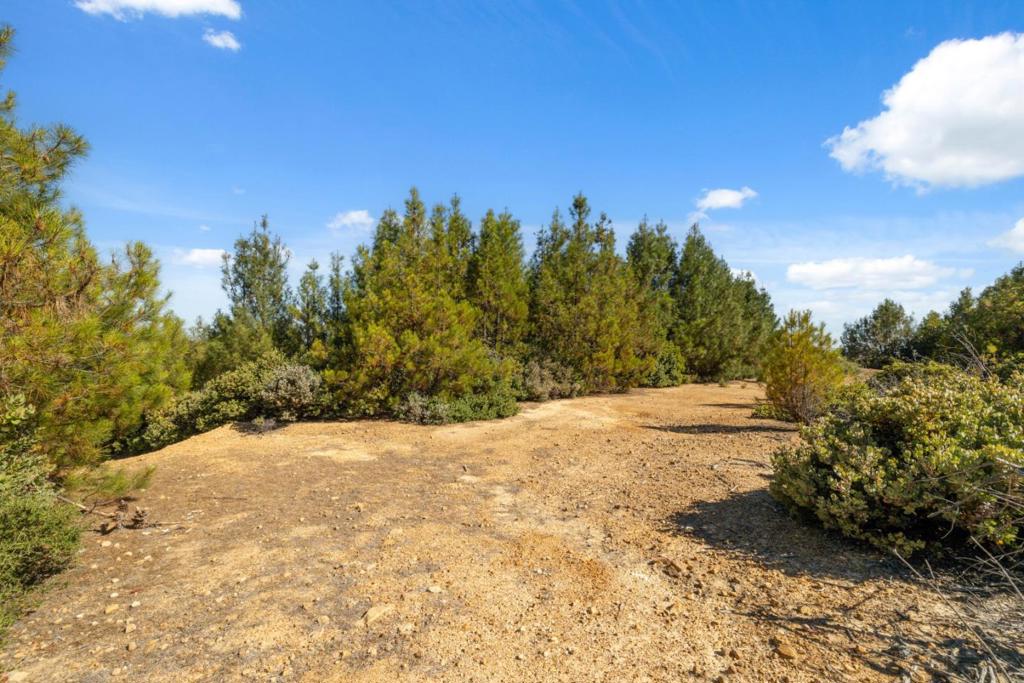 Summit Road Property Photo 4