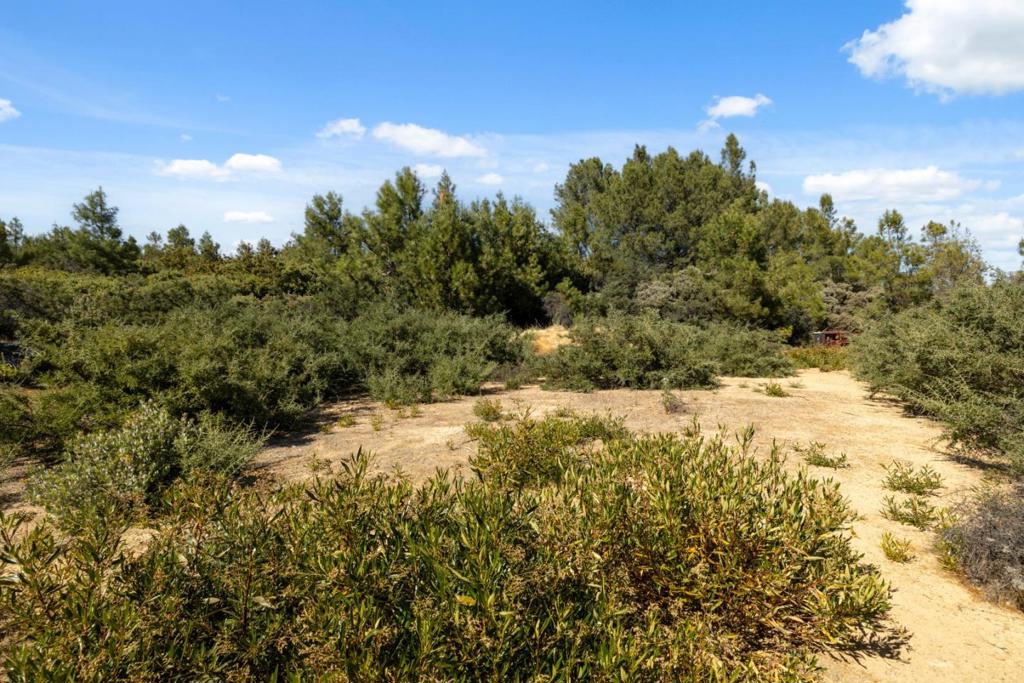 Summit Road Property Photo 10