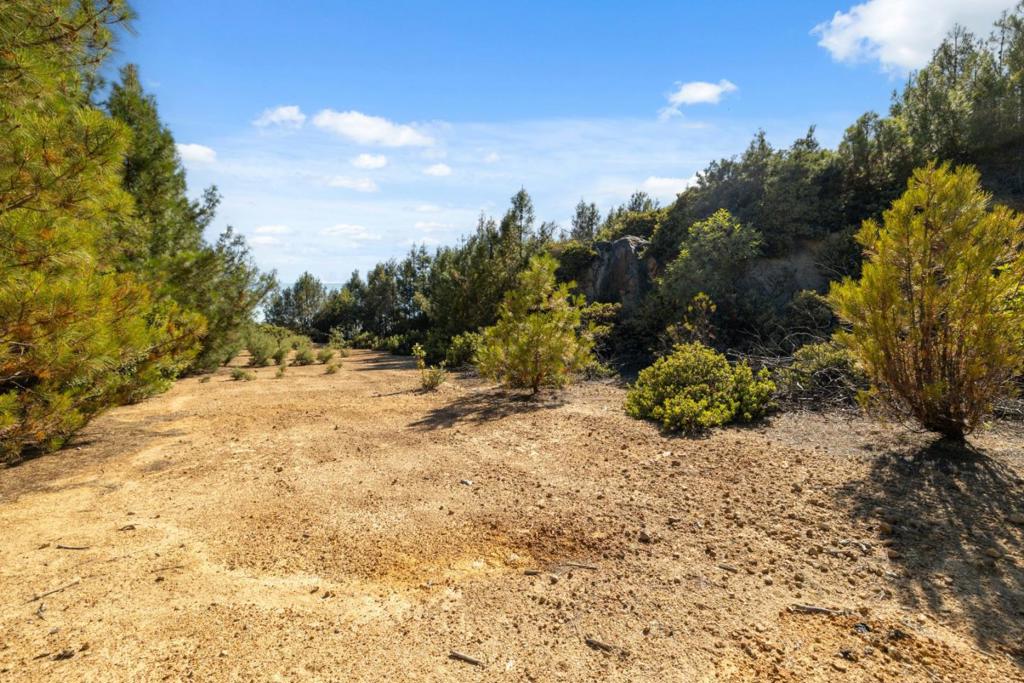 Summit Road Property Photo 12