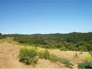 17280 Tamara Lane Property Photo 42