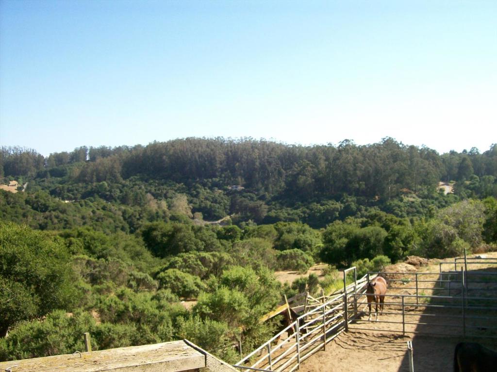 17280 Tamara Lane Property Photo 44