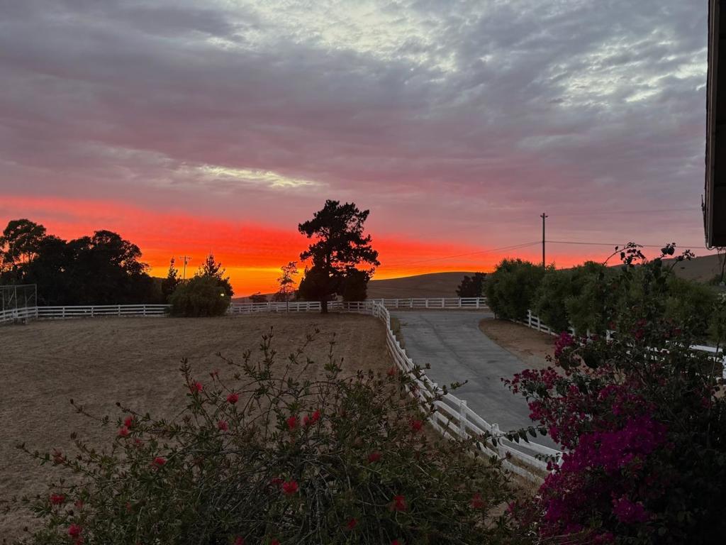 29225 Chualar Canyon Road Property Photo 2