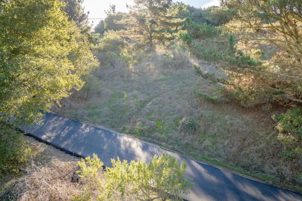 19378 Oak Ridge Drive Property Photo 6