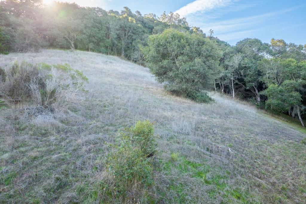 19378 Oak Ridge Drive Property Photo 8