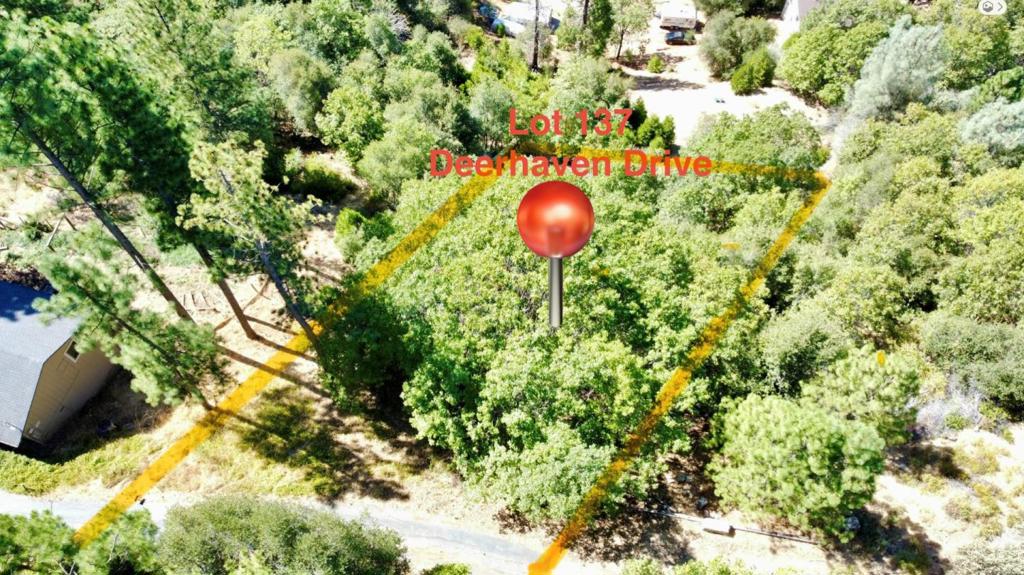 137 Deerhaven Drive Property Photo 3
