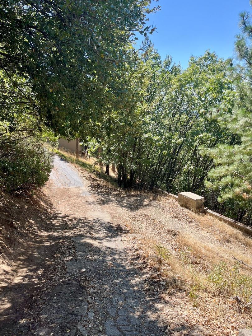 137 Deerhaven Drive Property Photo 8