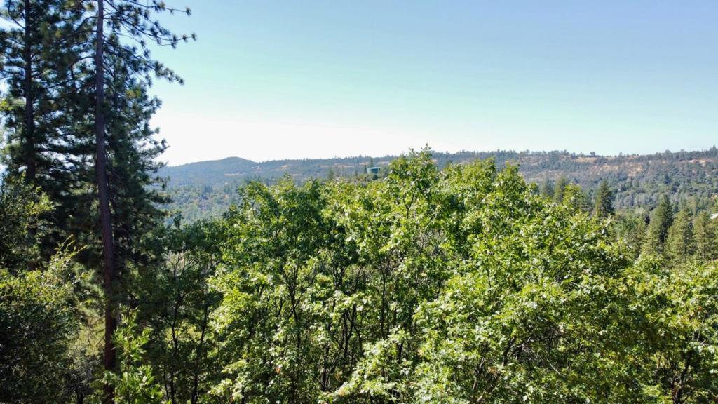 137 Deerhaven Drive Property Photo 9