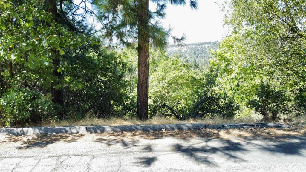 137 Deerhaven Drive Property Photo 11