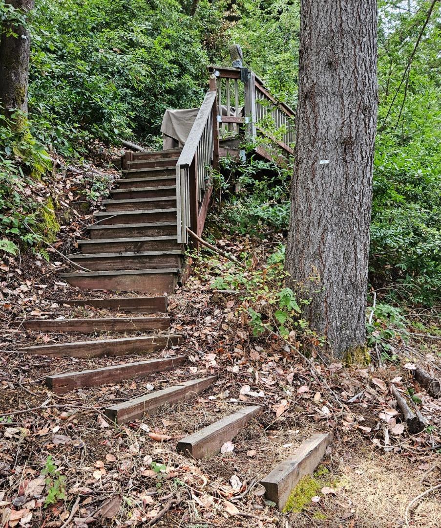 20245 Gist Road Property Photo 5