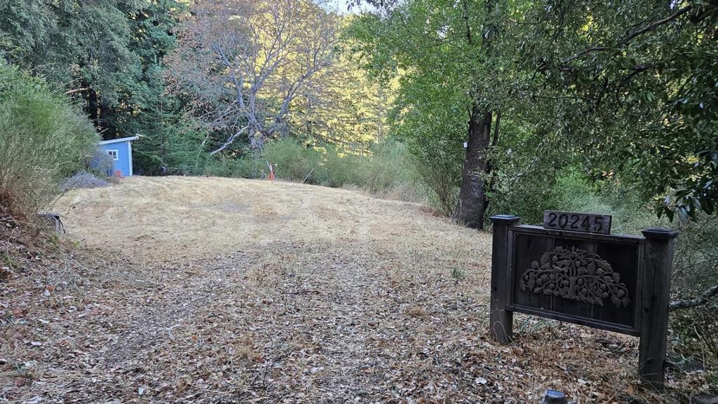 20245 Gist Road Property Photo 11